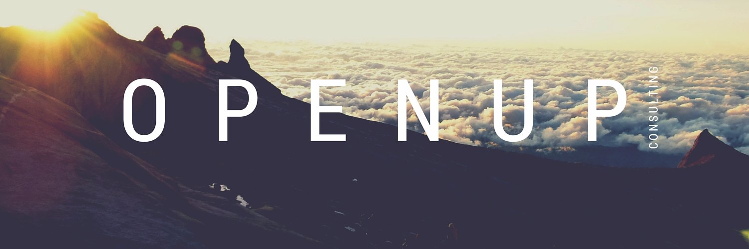 openupltda's profile banner image