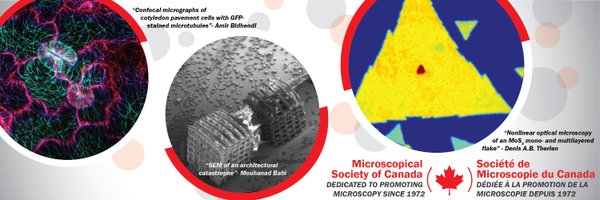 MSC_SMC Profile Banner