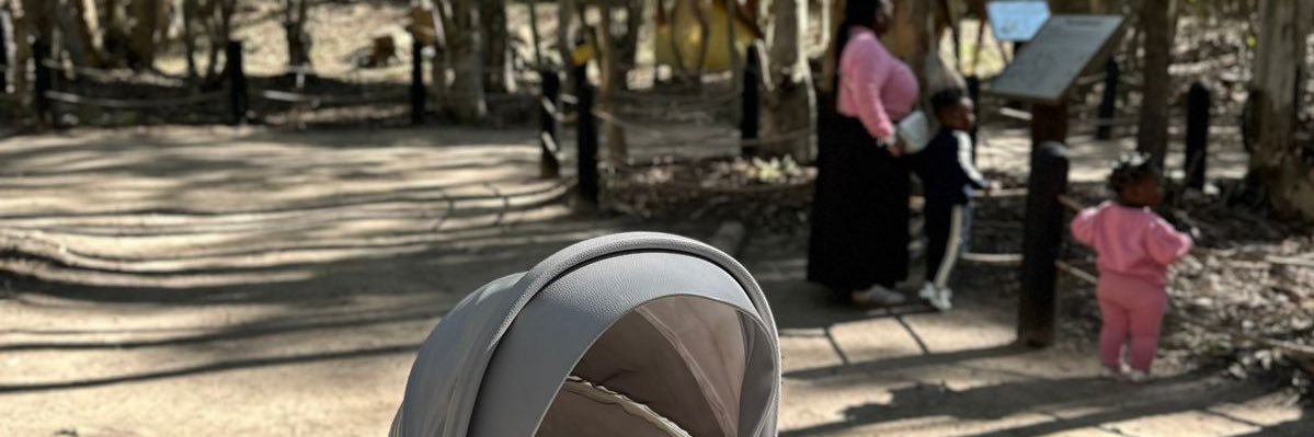 BABZIT's profile banner image