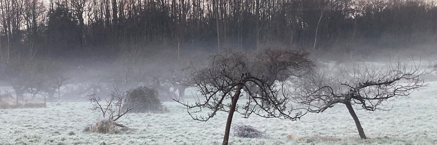 Frances Toomey #FBPEGlobal banner