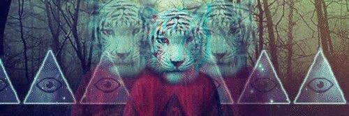 Bebemaarrii's profile banner image