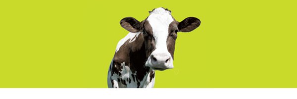 creativepeops Profile Banner