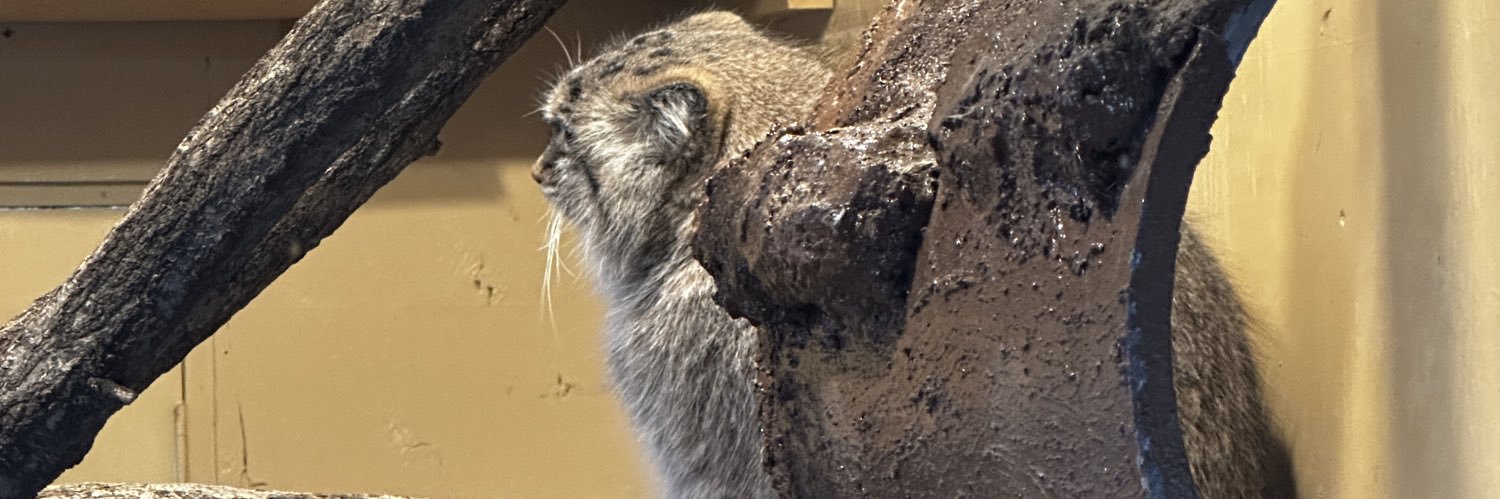 LIONFARM73's profile banner image
