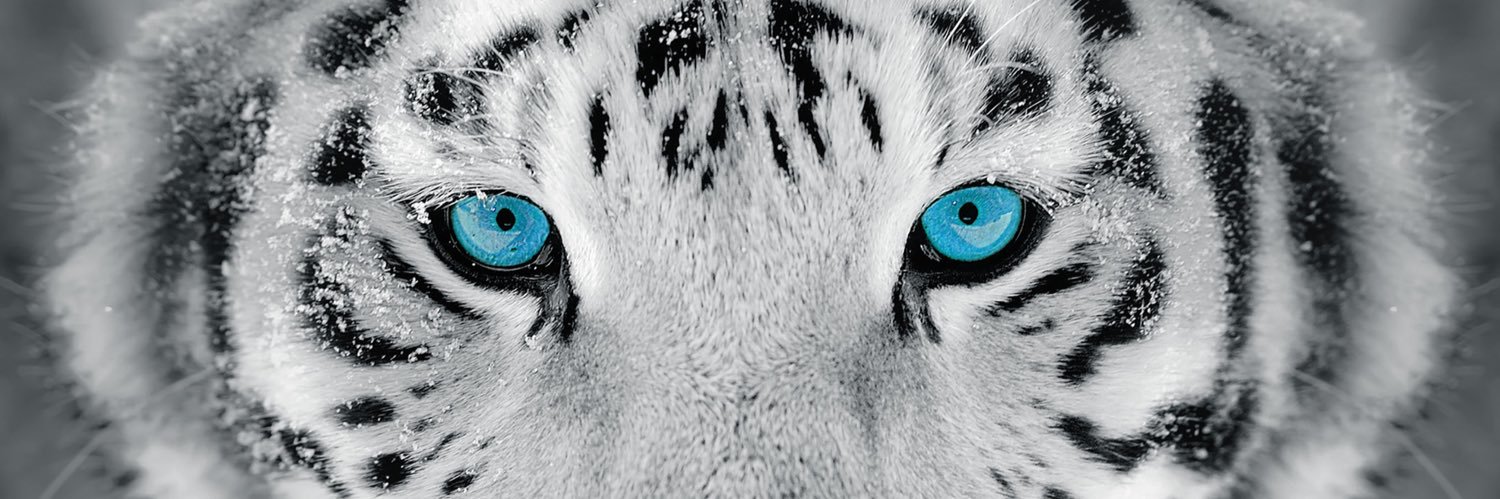 MrDOgetright516's profile banner image