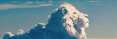 pilarbadl's profile banner image