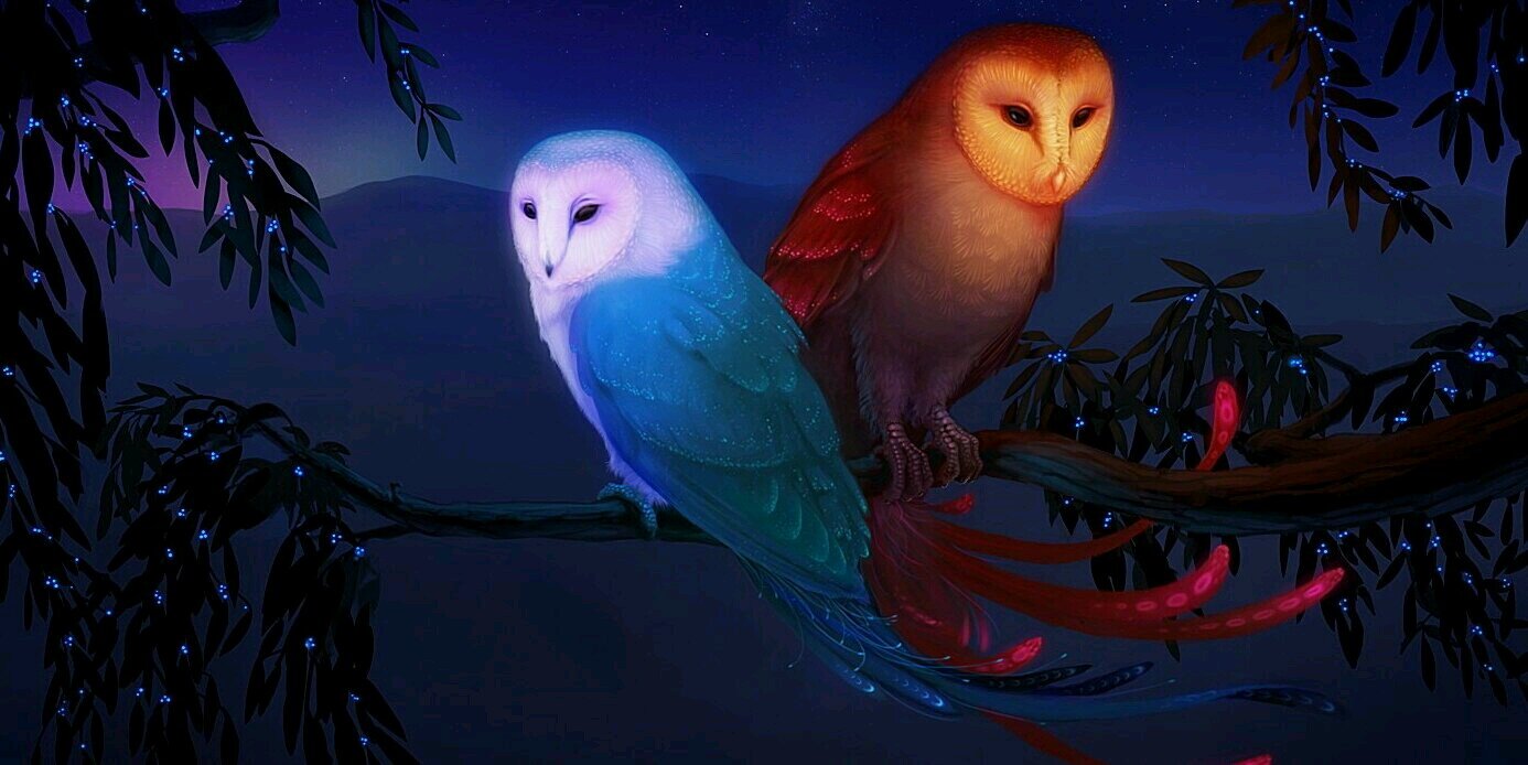 Vinks97's profile banner image