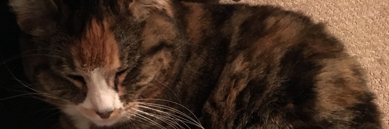 sshimi's profile banner image