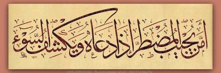 سیده فاطمه تشکری🇵🇸🇾🇪🇮🇷's banner