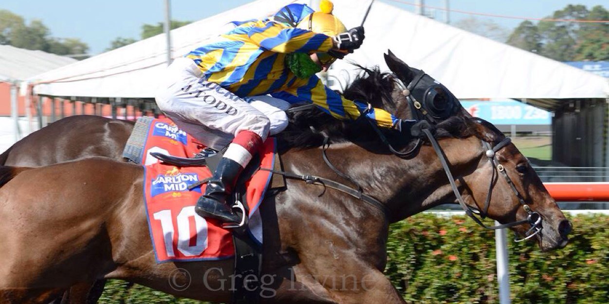 Neil Dyer Racing banner