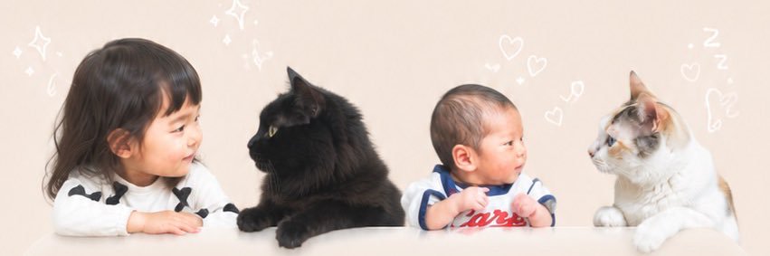 upa_neko's profile banner image