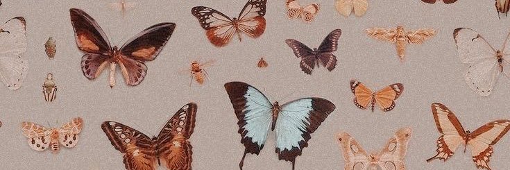 onlyangelcalum's profile banner image