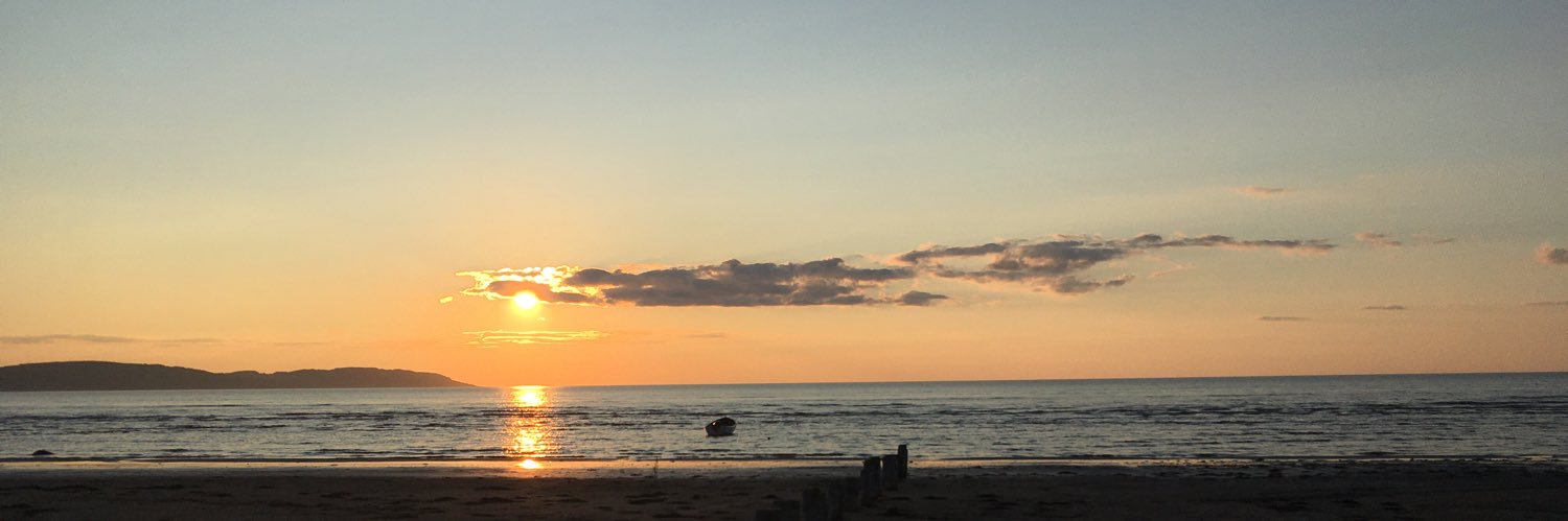 Bosse Vikingson banner