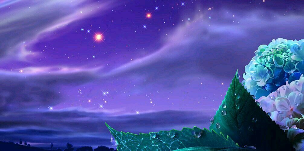 Lilo_Ichank's profile banner image