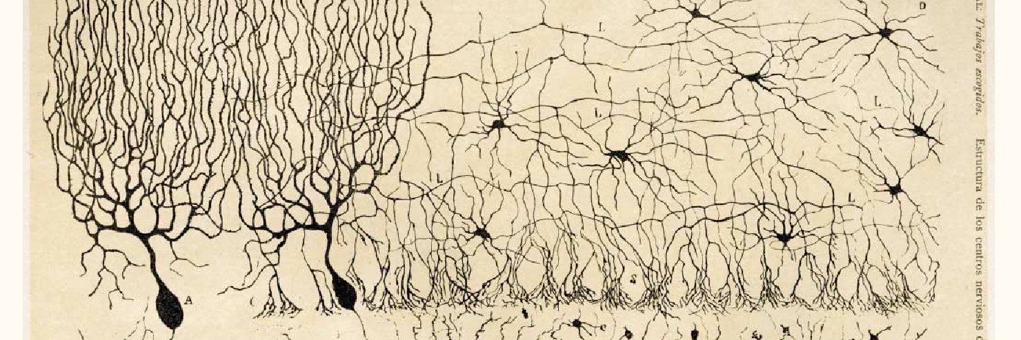 IoPPN Neuropsychiatry Research & Education Group's banner