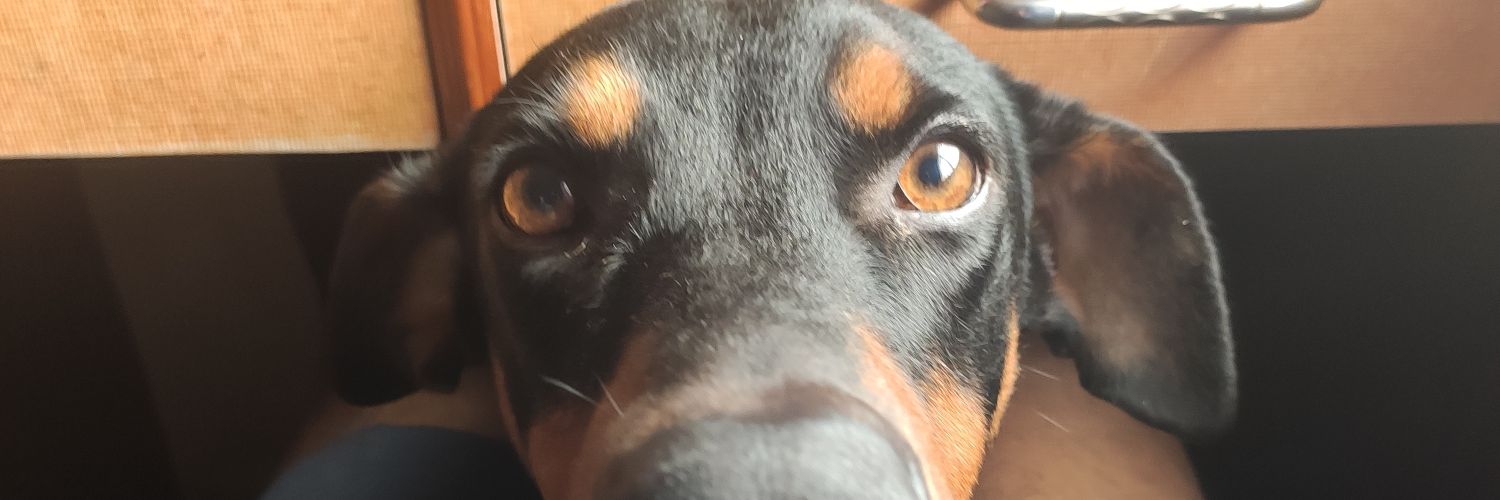 Kris Thomas Lukose banner