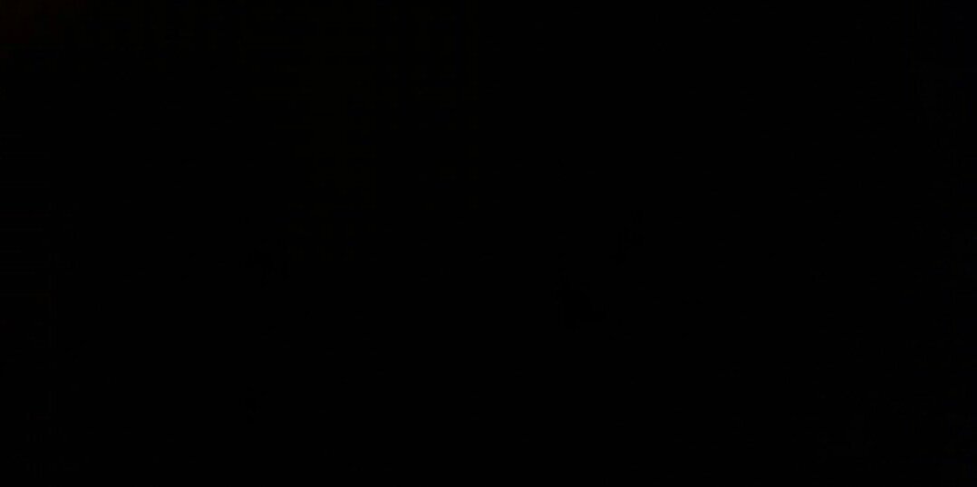 Jed_awi's profile banner image