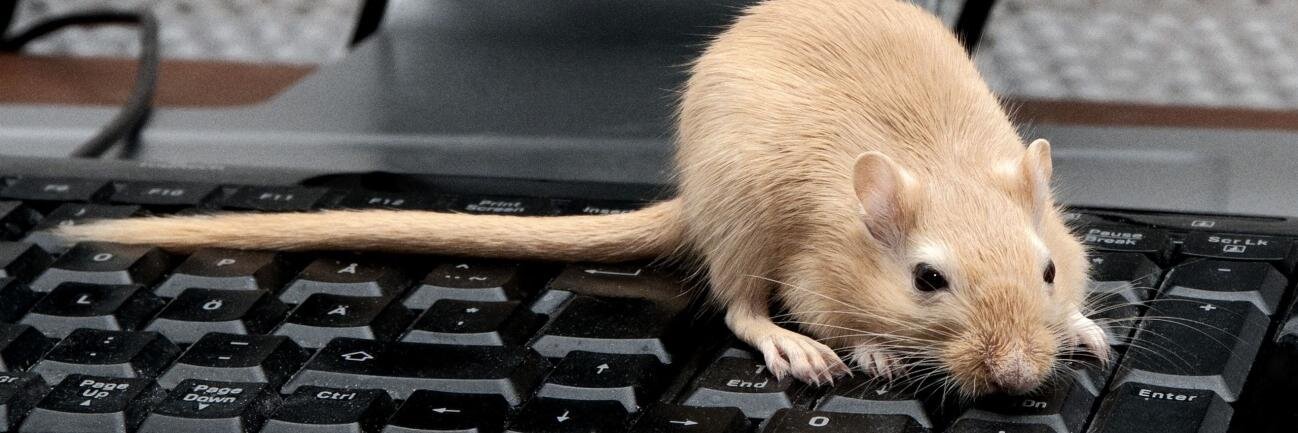 Colin Harrison banner