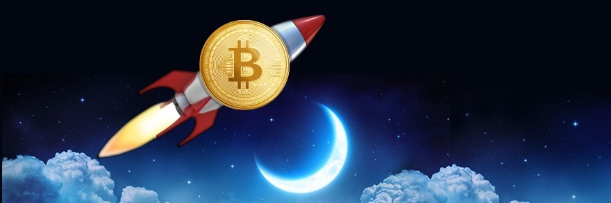 Crypto Wolf banner