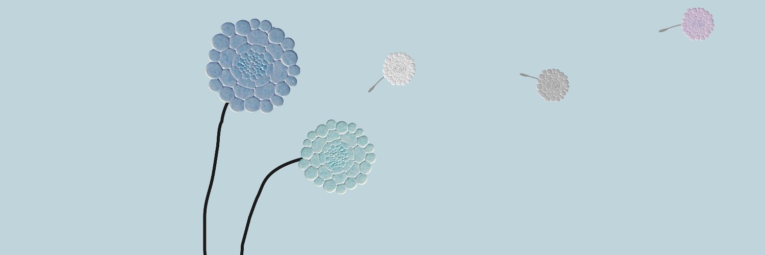 Debora Gasperini banner