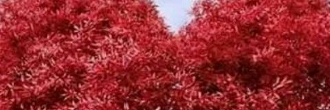All_Bright2's profile banner image