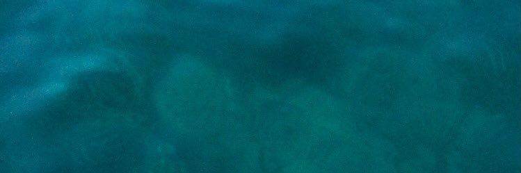 ForcadaClara's profile banner image
