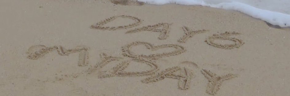 love ward’s patient chaya ❤️‍🩹🐰🍀💖 banner