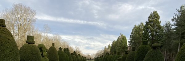 MusicObserver1 Profile Banner