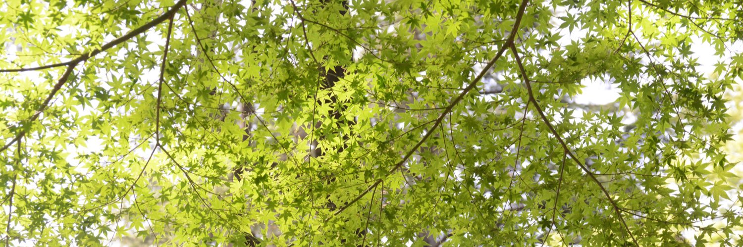 tombo3124's profile banner image