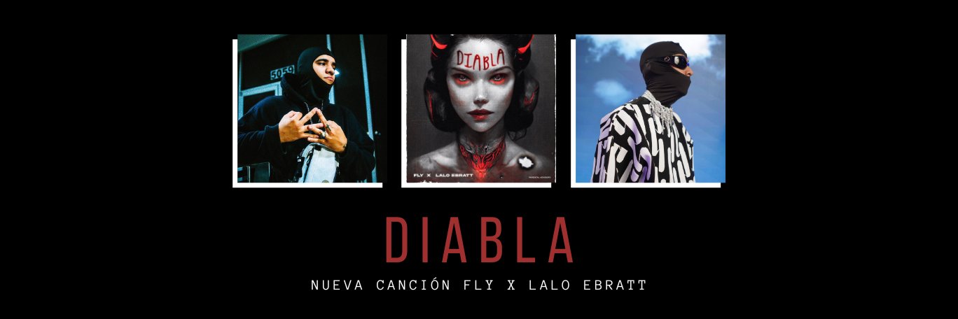 flymusic banner