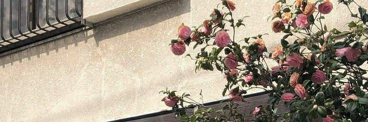 Heekkime's profile banner image