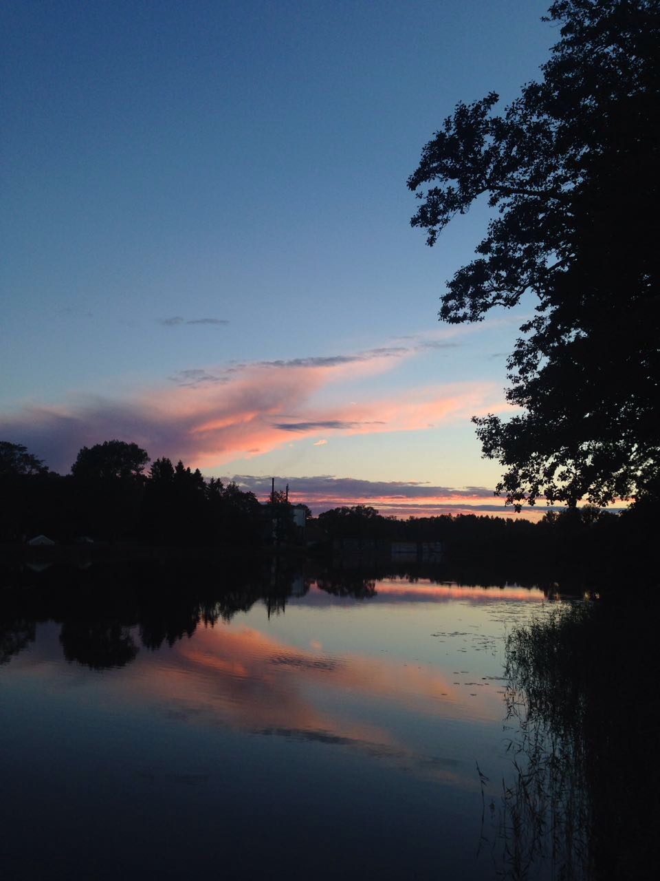 Liene Gutmane 🇱🇻🇺🇦 banner
