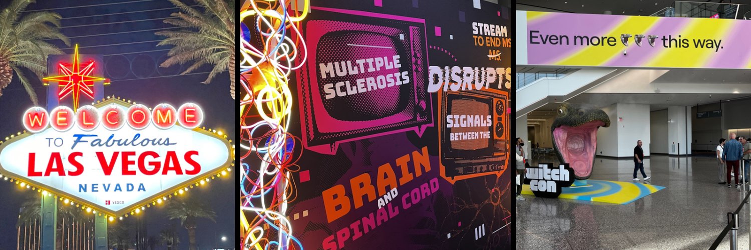 Stream to End MS banner