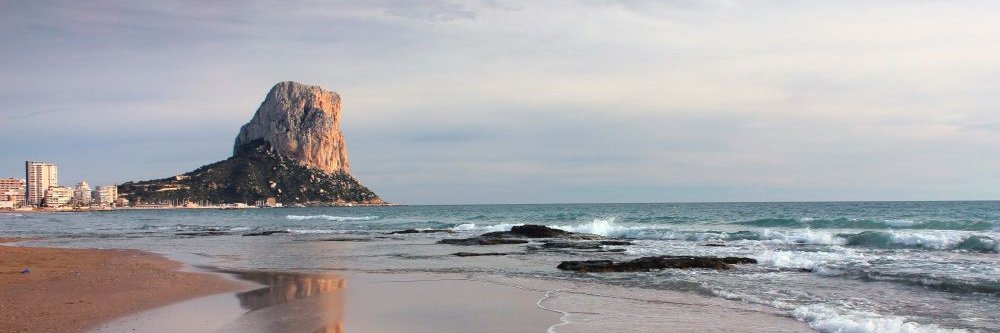 CalpNoticies's profile banner image
