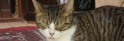 hiroki4388's profile banner image