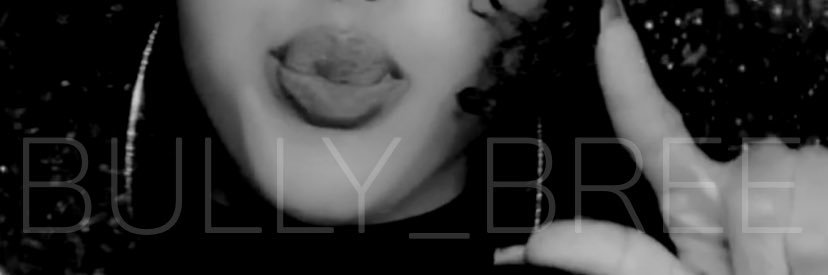 The Bully 💋 banner