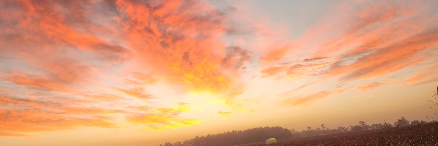 hvítakrist banner