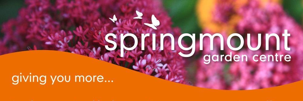 springmountgc's profile banner image
