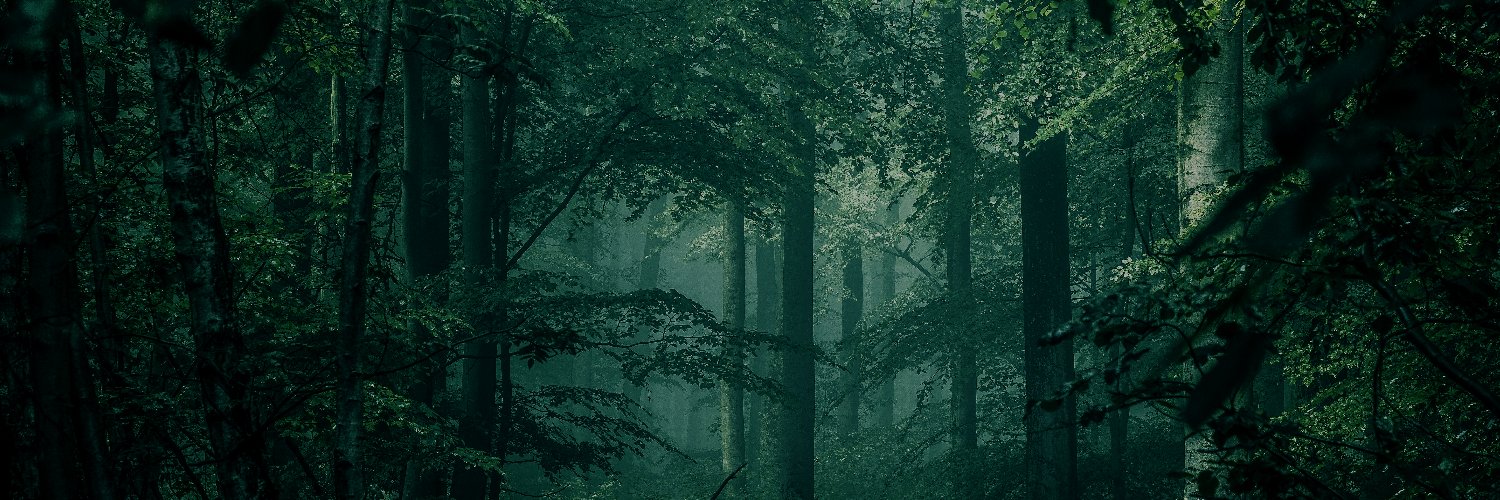 Eduard Forroll Isanda banner