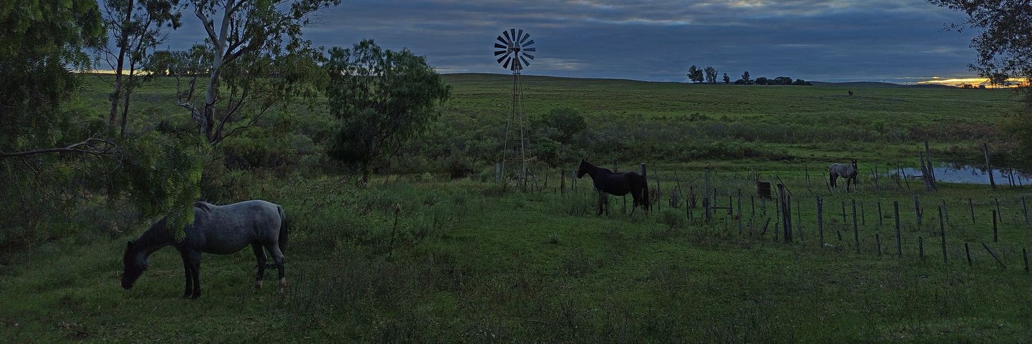 Lucia Zapata Profile Banner