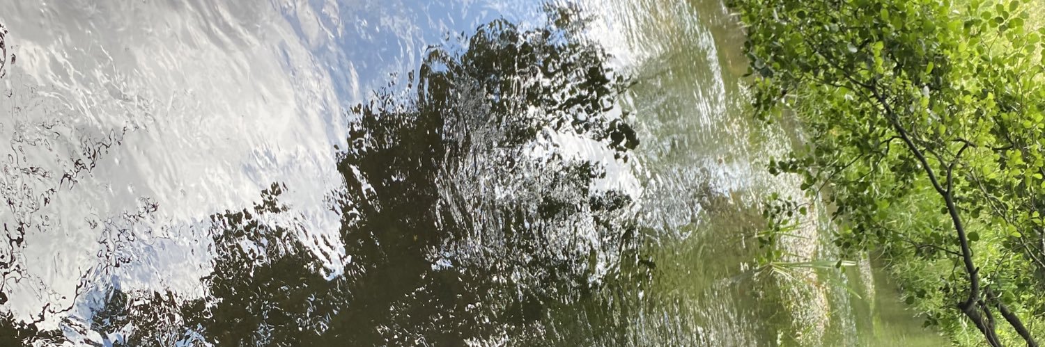 MoonLambe13's profile banner image