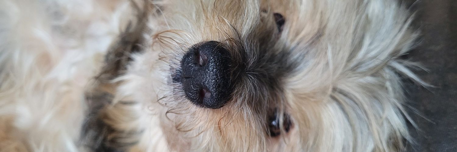 I, Robot - Tirano inconveniente de Liliput banner