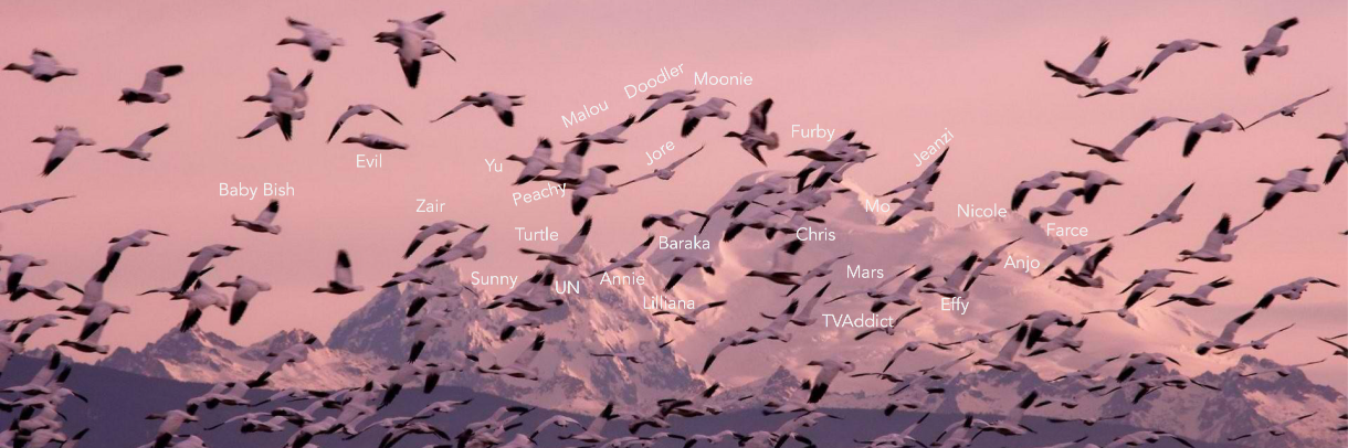 jeanzzi's profile banner image