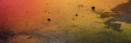 Zuzuzu. banner