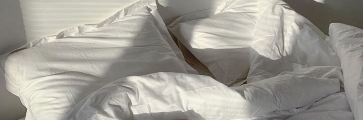 джулия 🌷🕊🥕 banner