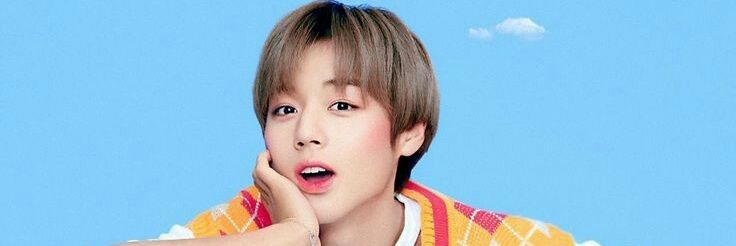 gavano._ banner