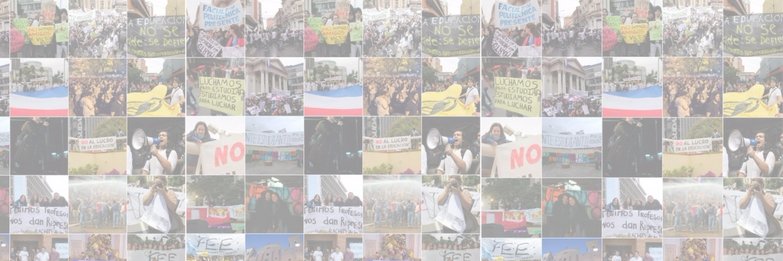FEEparaguay's profile banner image