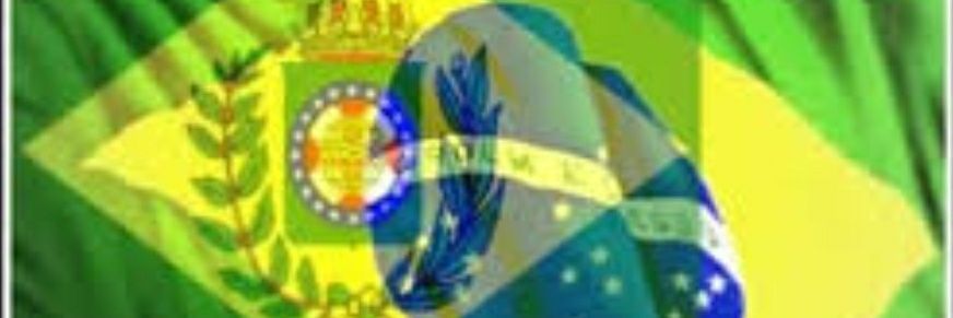 sinakelly's profile banner image