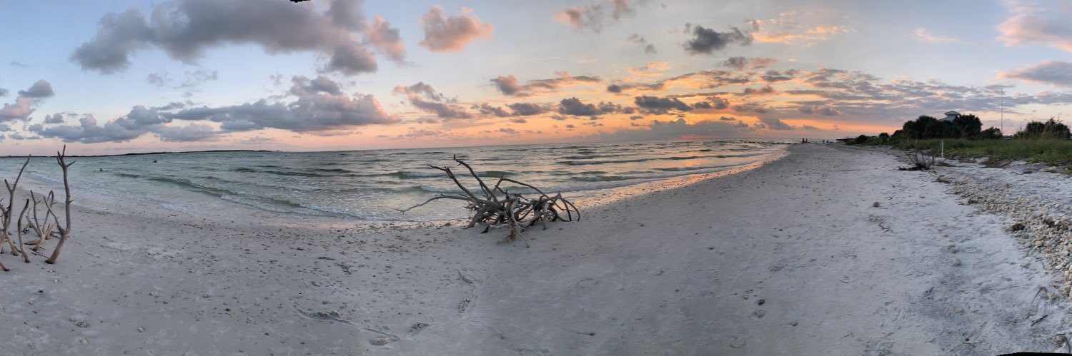 🇺🇸🌸BrownEyedGirL🌸🇺🇸 banner