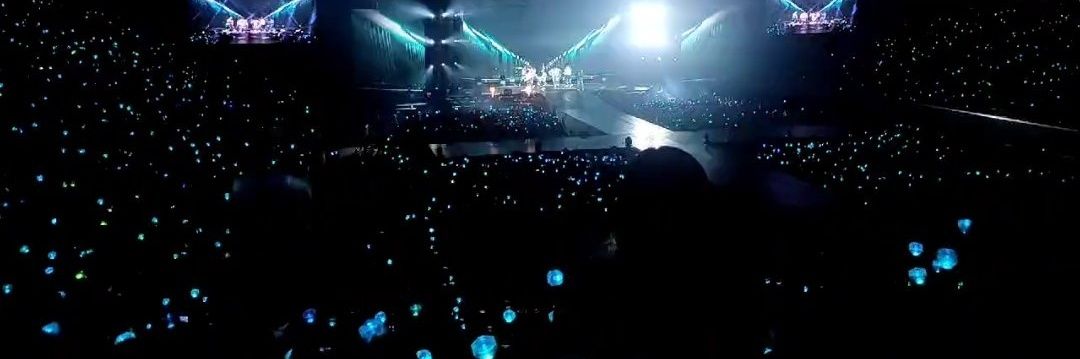 dodam 🐰🦊💎 banner