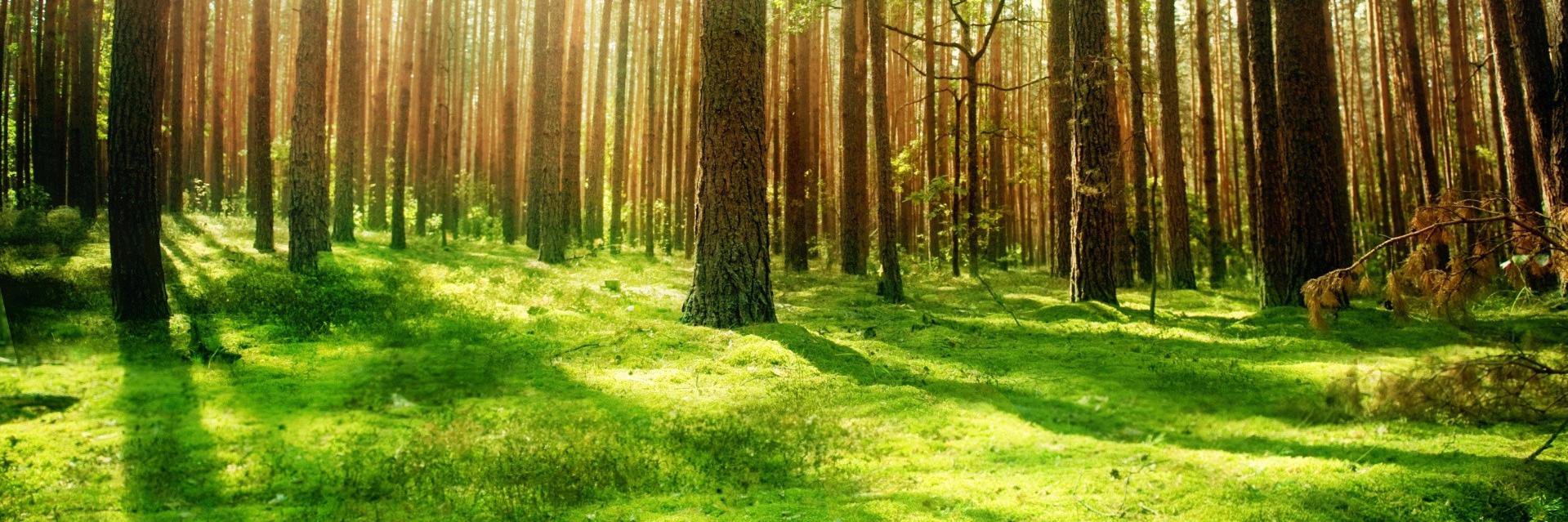 marcushearne's profile banner image
